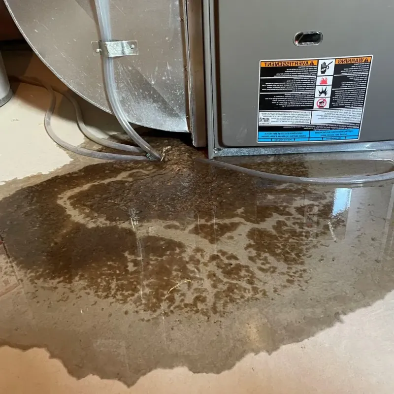 Pipe Burst and Leak Restoration in Hilliard, OH
